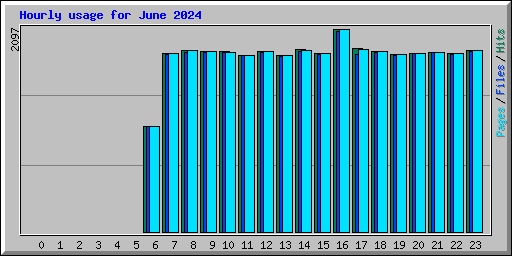 Hourly usage for June 2024