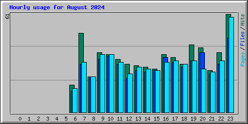 Hourly usage for August 2024