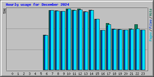 Hourly usage for December 2024