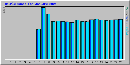 Hourly usage for January 2025