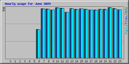 Hourly usage for June 2025