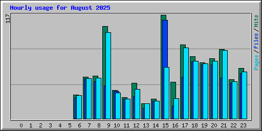 Hourly usage for August 2025
