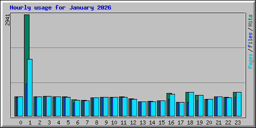 Hourly usage for January 2026