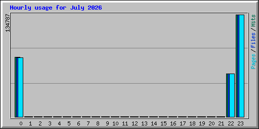 Hourly usage for July 2026