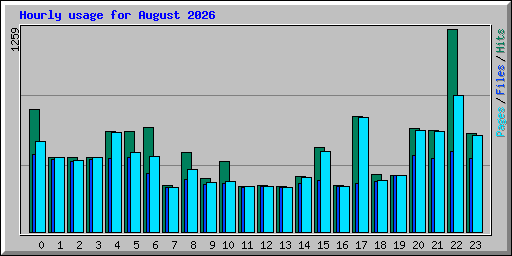 Hourly usage for August 2026